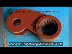 Schwing SLEWING LEVER yang digunakan untuk pompa beton 10018071